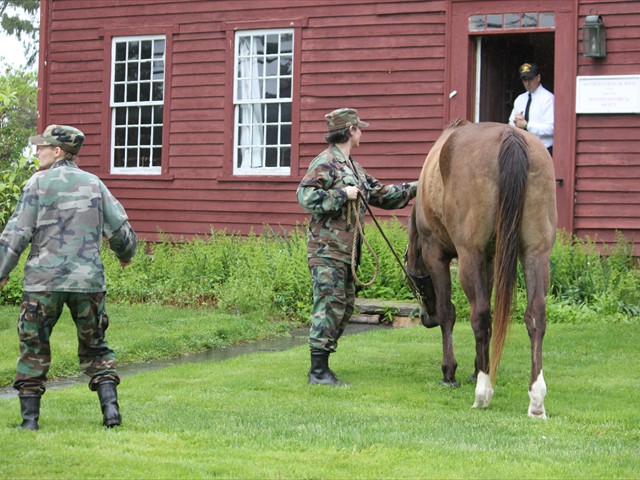 NSH Horse Guard 003