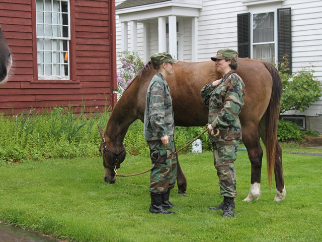 NSH Horse Guard 008