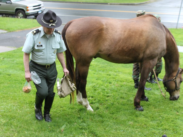 NSH Horse Guard 017