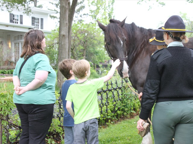 NSH Horse Guard 024