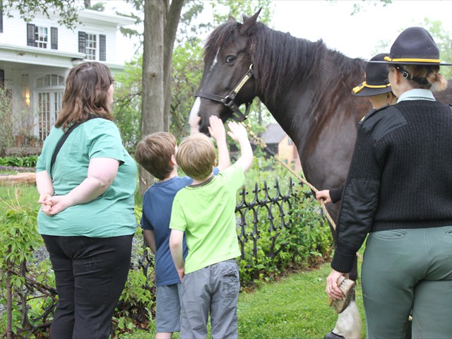 NSH Horse Guard 025