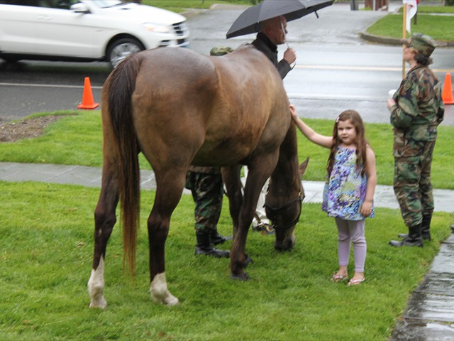 NSH Horse Guard 054
