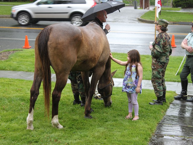 NSH Horse Guard 055