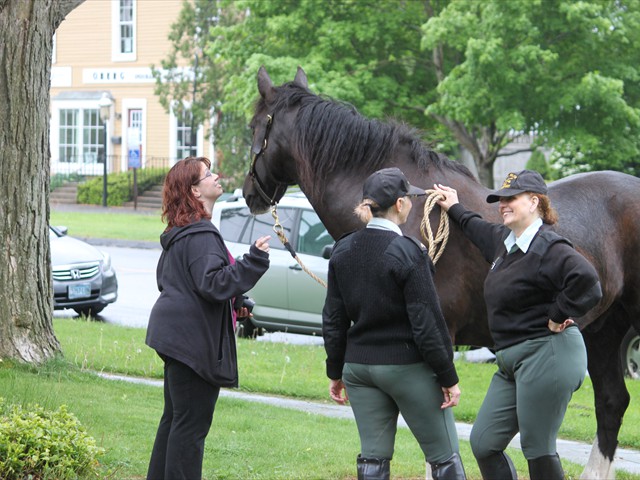 NSH Horse Guard 067