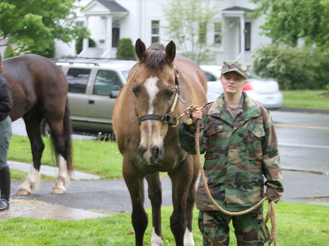 NSH Horse Guard 069