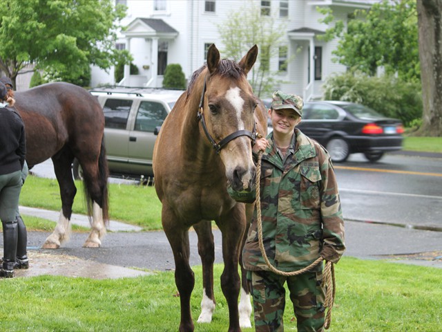 NSH Horse Guard 070