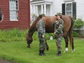 NSH Horse Guard 008