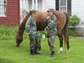 NSH Horse Guard 009