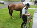 NSH Horse Guard 018