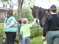 NSH Horse Guard 024