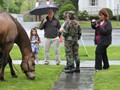 NSH Horse Guard 061