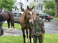 NSH Horse Guard 070